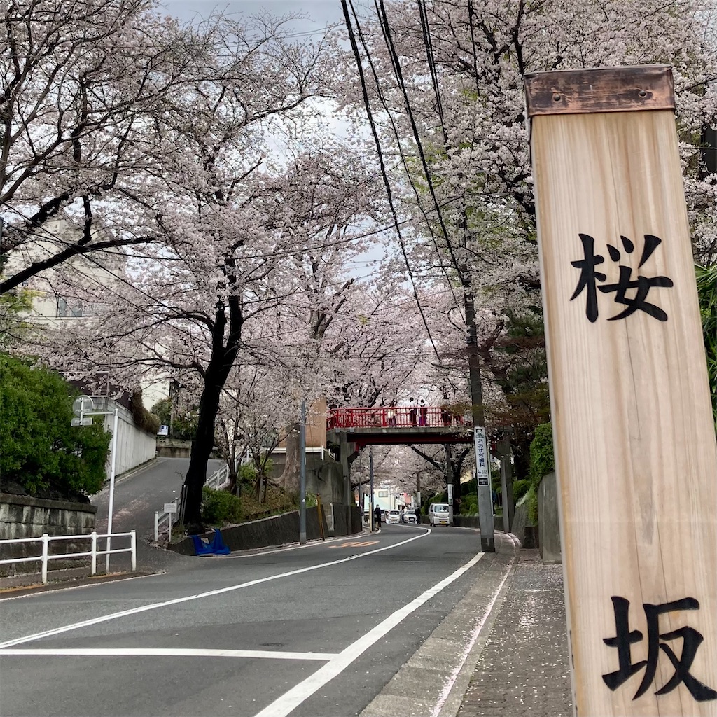 f:id:koshikakeol:20230327145633j:image f:id:koshikakeol:20230327145633j:image