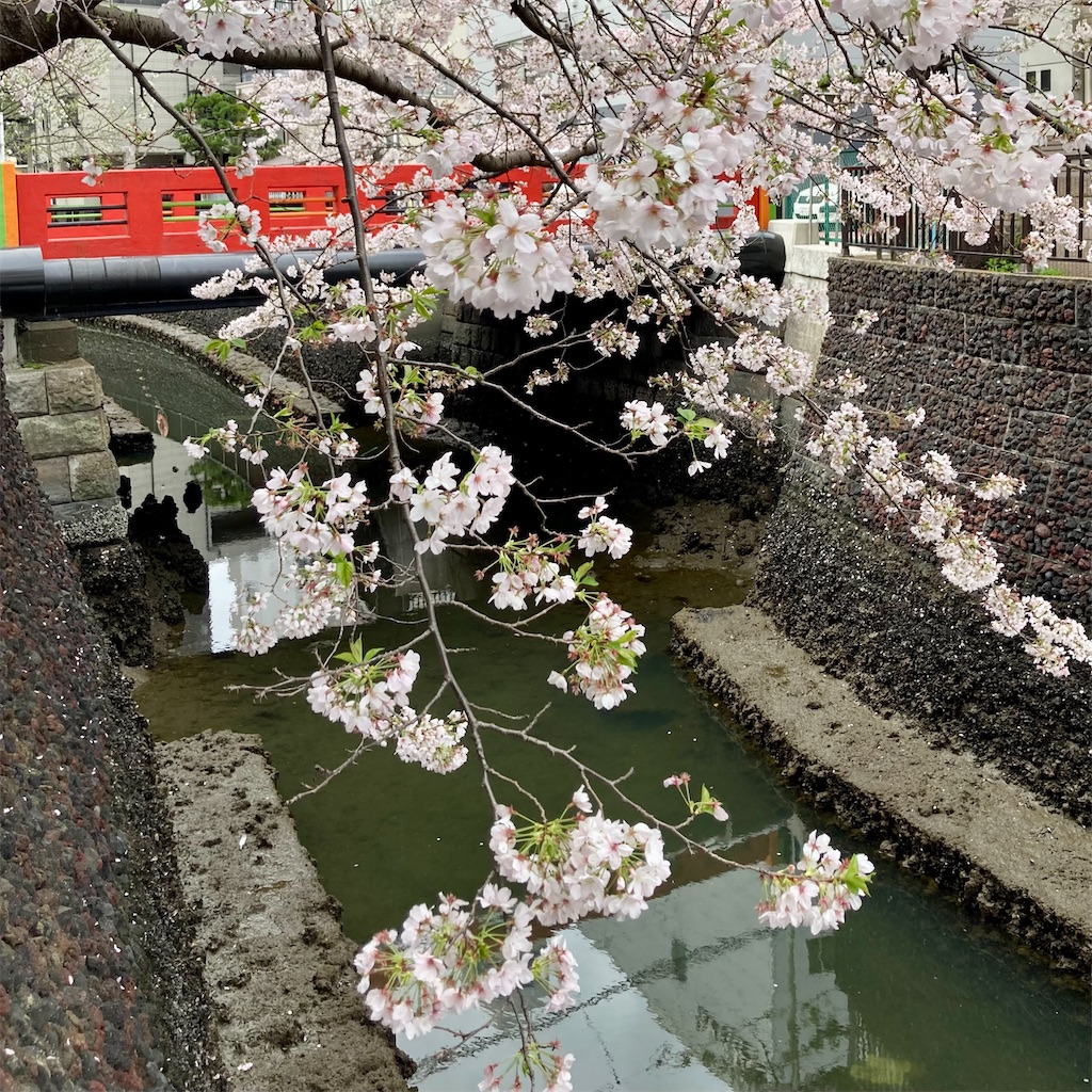 f:id:koshikakeol:20230327151546j:image f:id:koshikakeol:20230327151546j:image