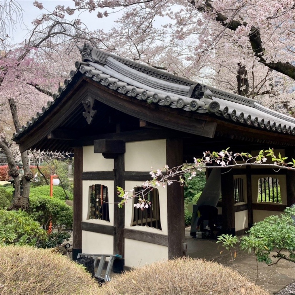 f:id:koshikakeol:20230327155751j:image