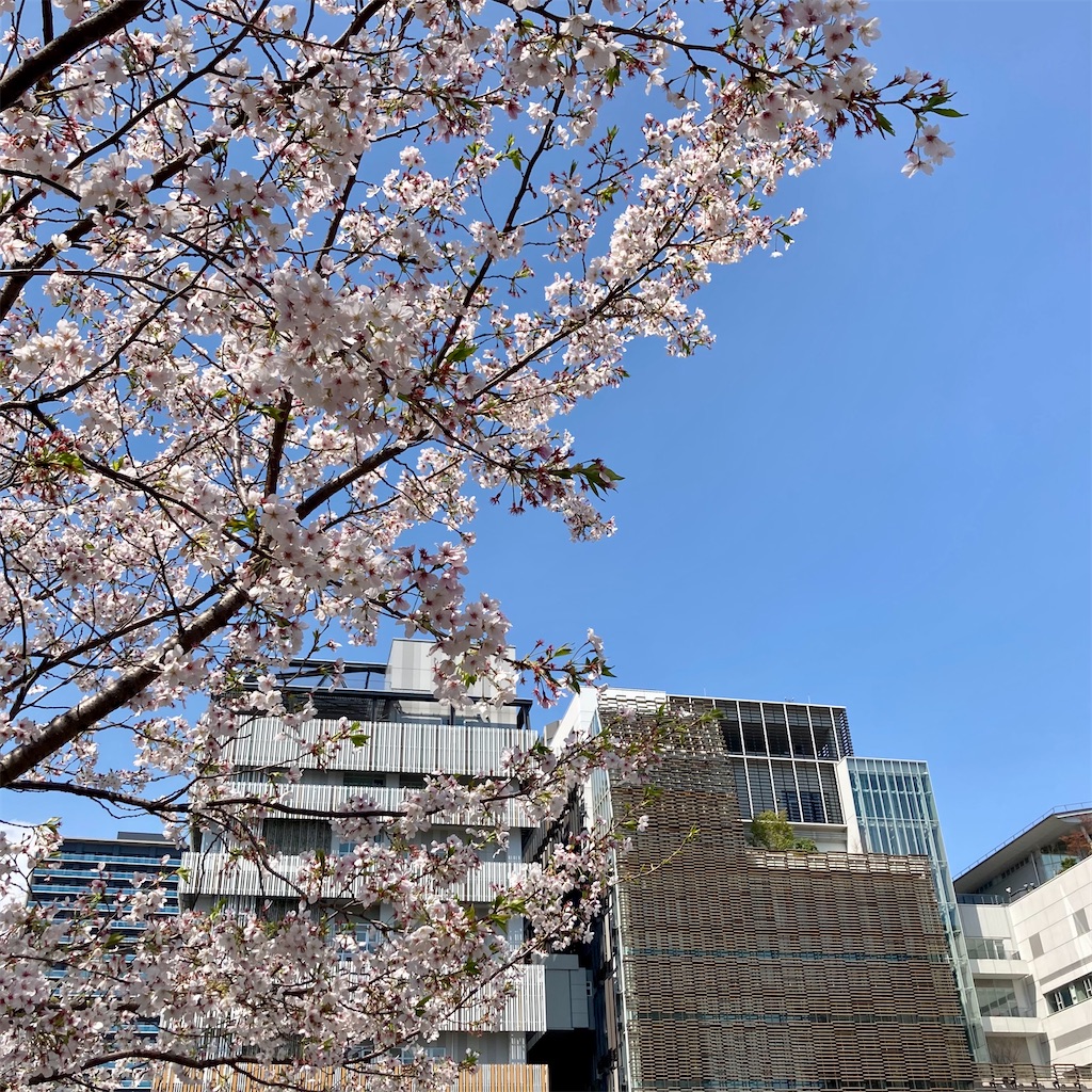 f:id:koshikakeol:20230330125742j:image f:id:koshikakeol:20230330125742j:image