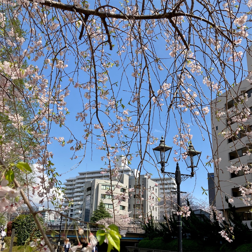 f:id:koshikakeol:20230330125748j:image f:id:koshikakeol:20230330125748j:image