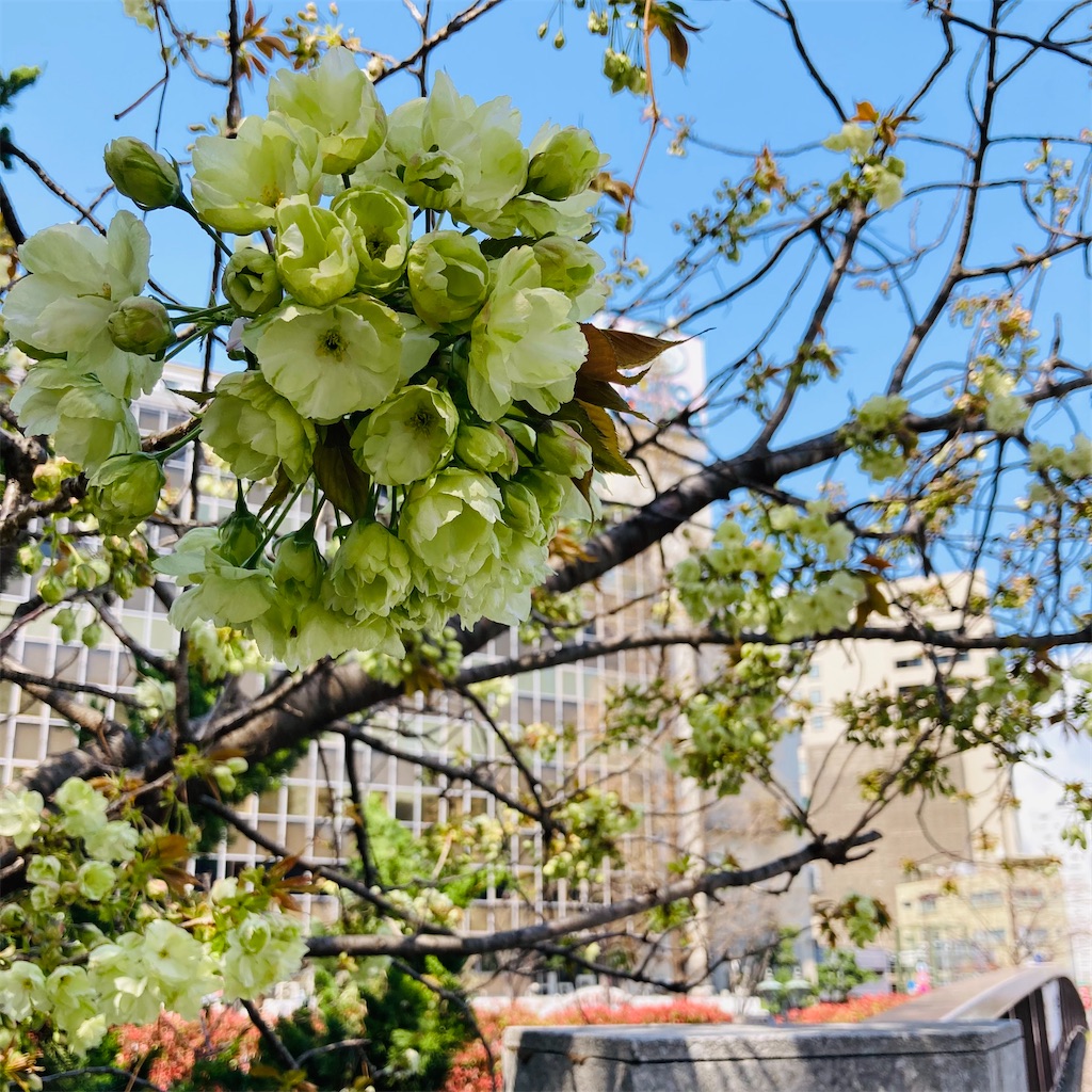 f:id:koshikakeol:20230330145427j:image