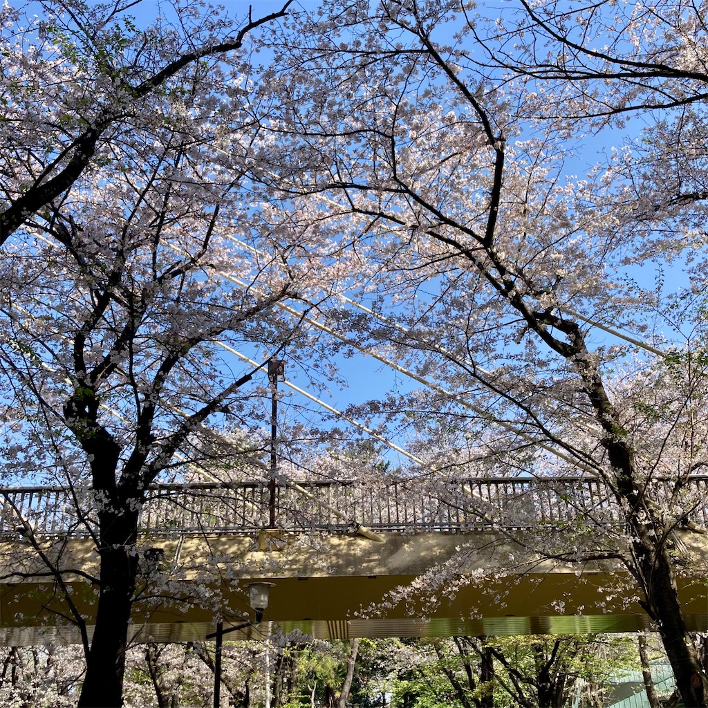 f:id:koshikakeol:20230401123213j:image f:id:koshikakeol:20230401123213j:image