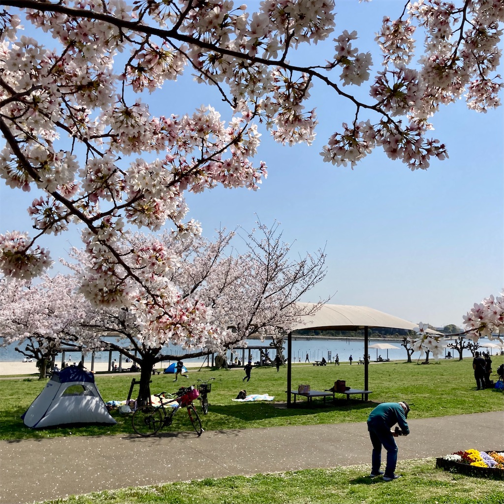 f:id:koshikakeol:20230401211912j:image f:id:koshikakeol:20230401211912j:image