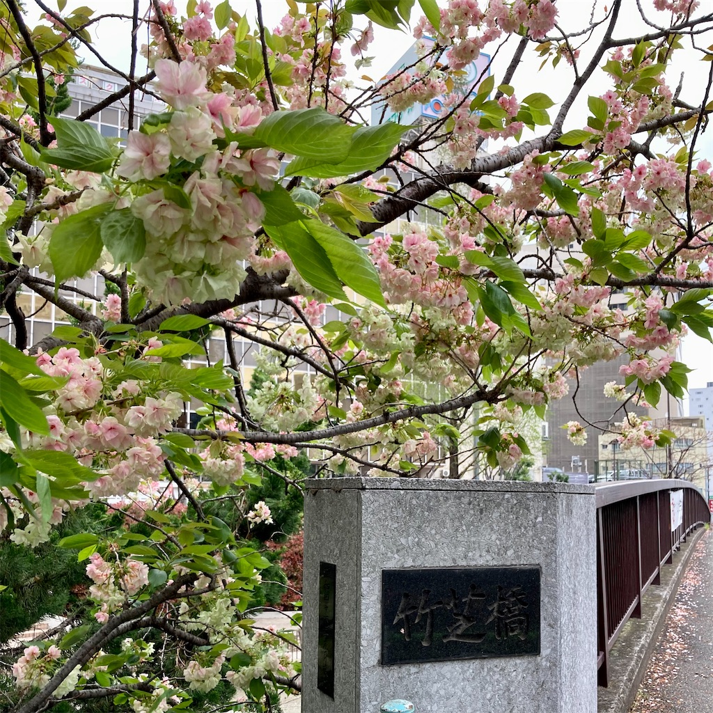 f:id:koshikakeol:20230407145053j:image f:id:koshikakeol:20230407145053j:image