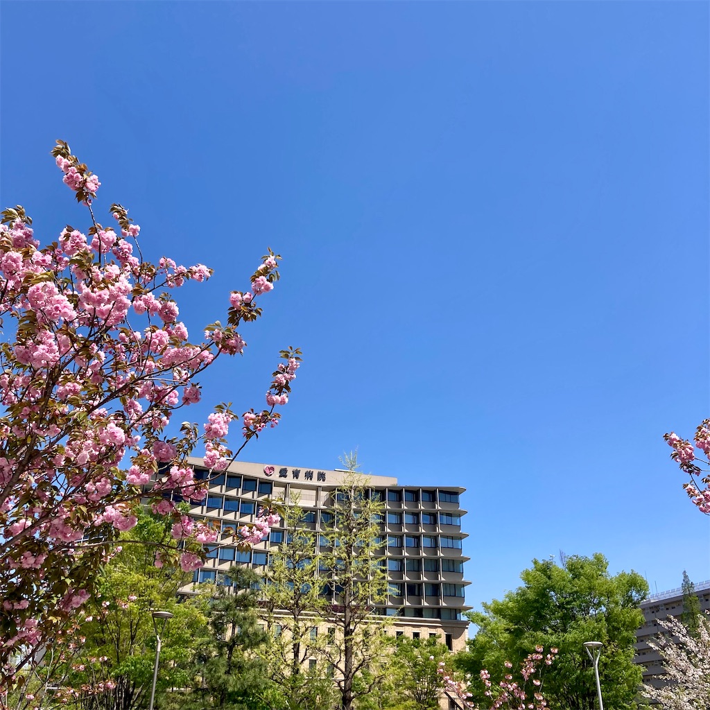 f:id:koshikakeol:20230410125448j:image f:id:koshikakeol:20230410125448j:image