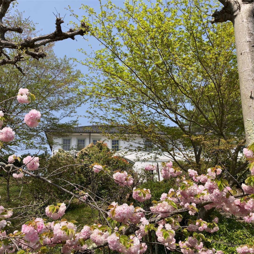 f:id:koshikakeol:20230411222242j:image