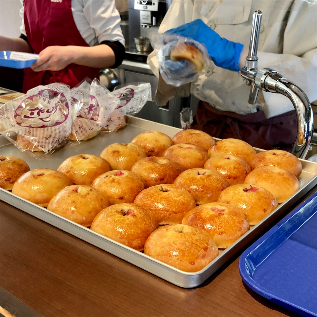 f:id:koshikakeol:20230411222727j:image