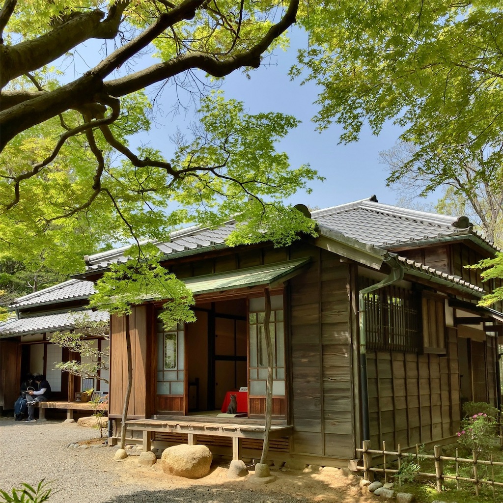 f:id:koshikakeol:20230412164223j:image