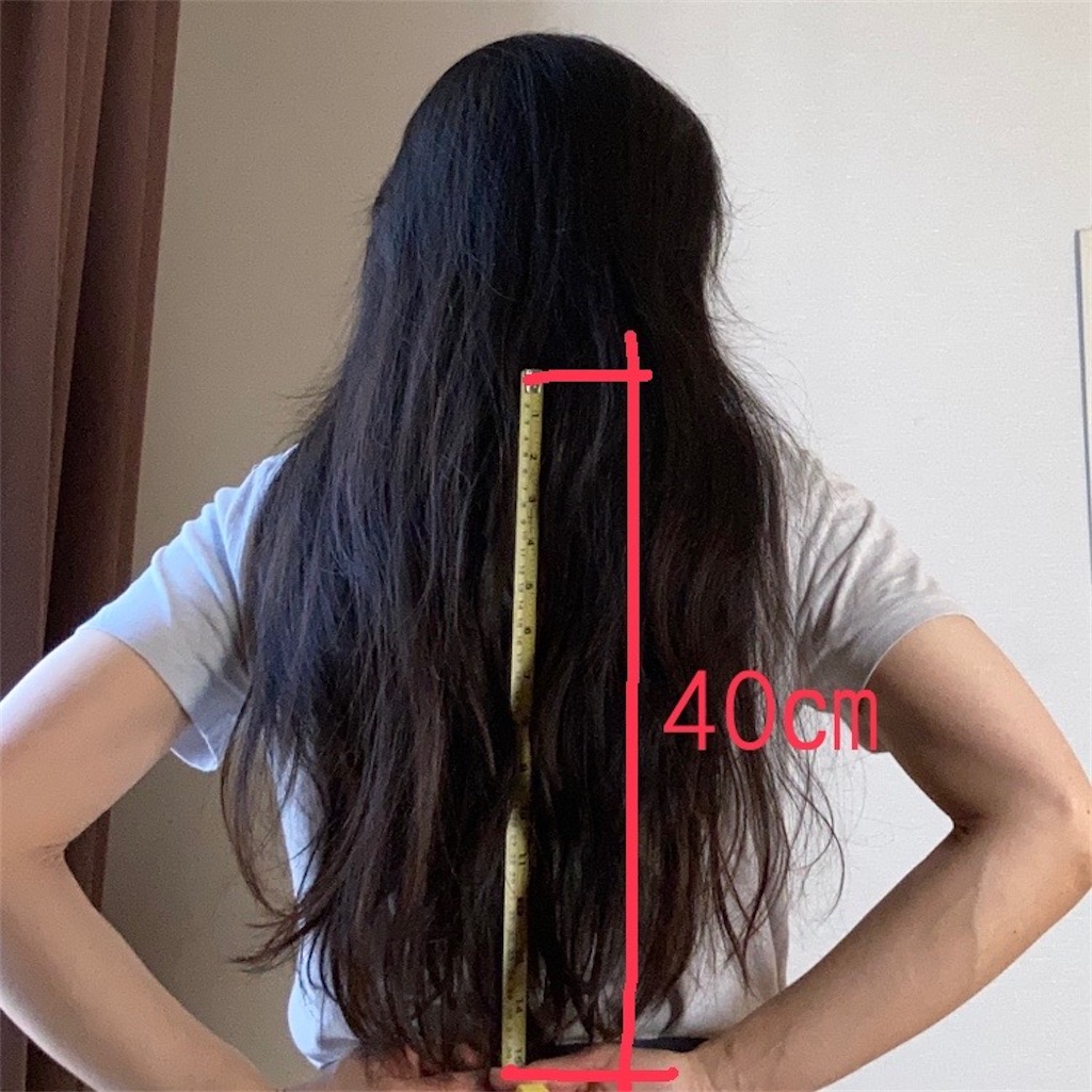 初めてのヘアドネーション | 31cmてどれくらい？ - 平日腰掛けOLのメモ帳