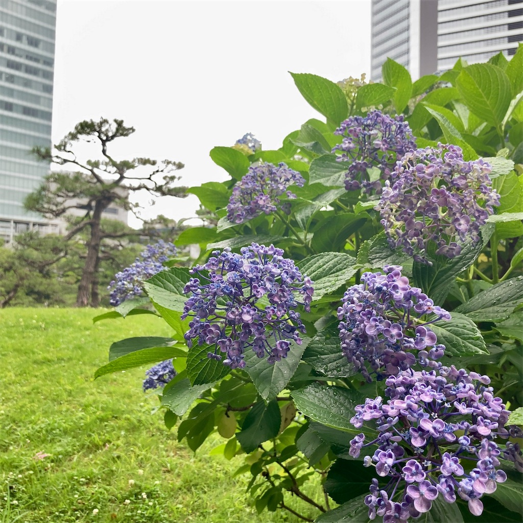 f:id:koshikakeol:20230611160726j:image