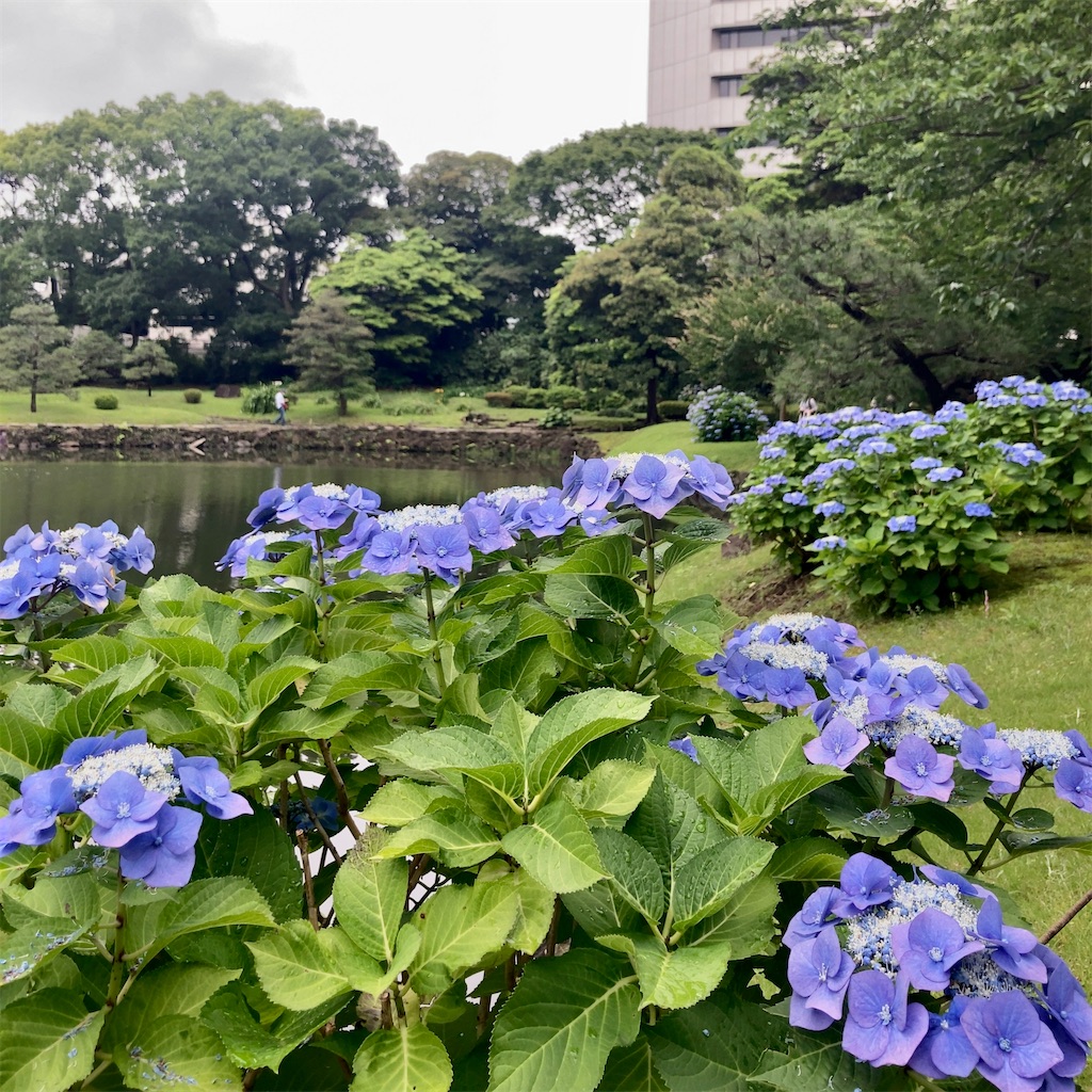 f:id:koshikakeol:20230611160751j:image