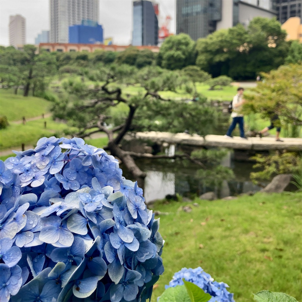 f:id:koshikakeol:20230611160800j:image