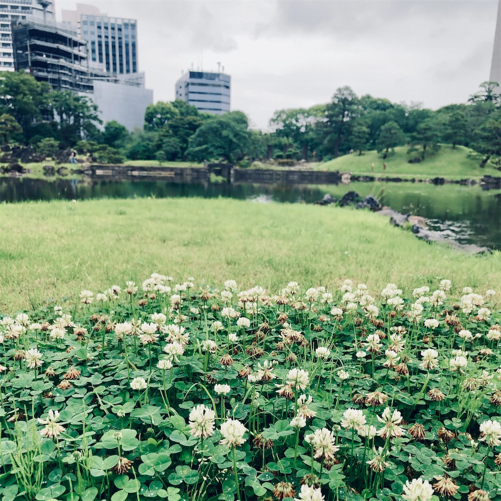 f:id:koshikakeol:20230611160830j:image