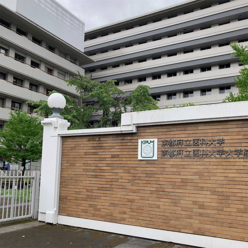 f:id:koshikakeol:20230623120728j:image