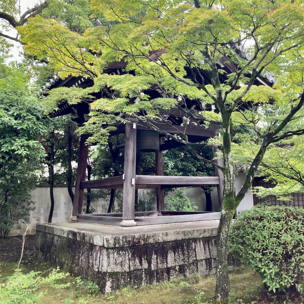 f:id:koshikakeol:20230623121823j:image