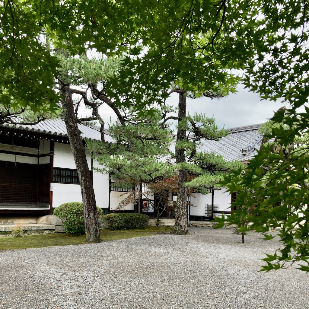 f:id:koshikakeol:20230623121840j:image