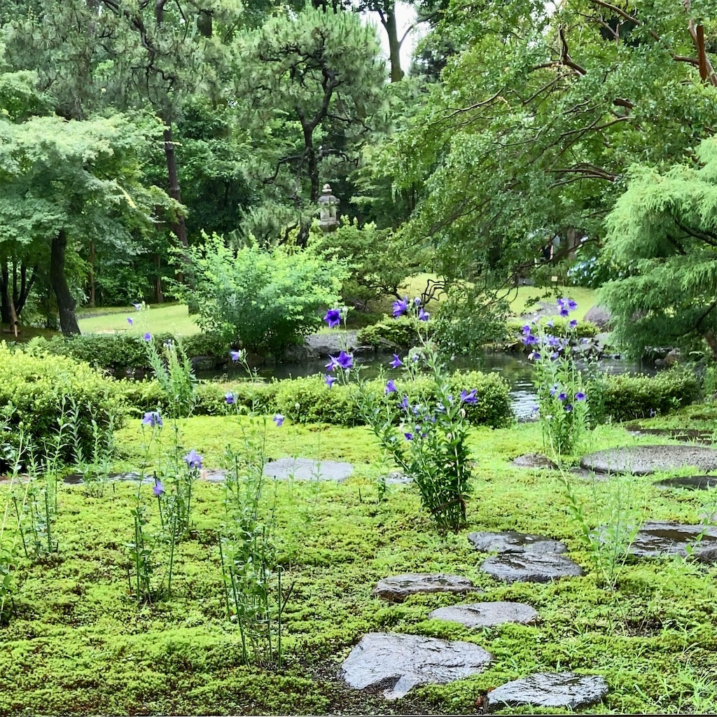 f:id:koshikakeol:20230623133728j:image