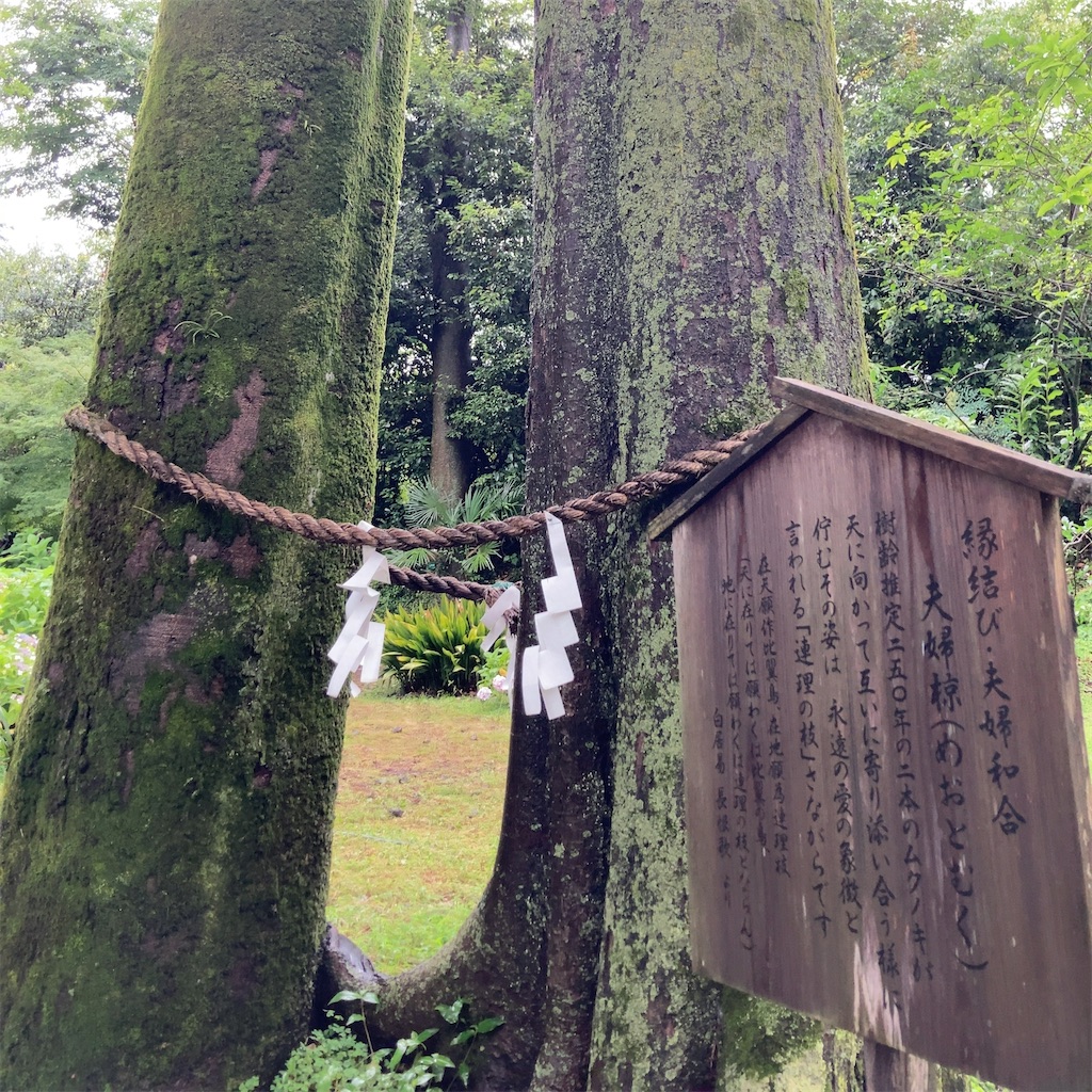 f:id:koshikakeol:20230625140321j:image