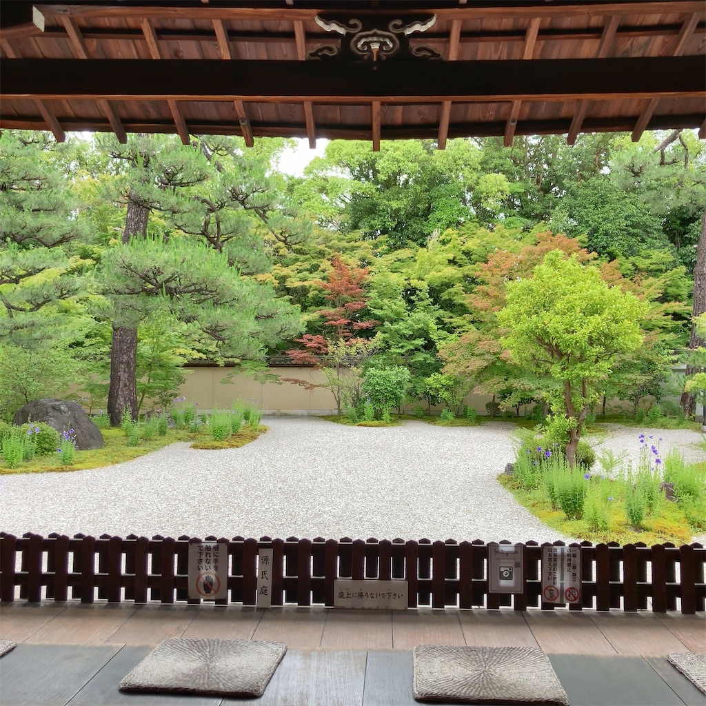 f:id:koshikakeol:20230625191657j:image