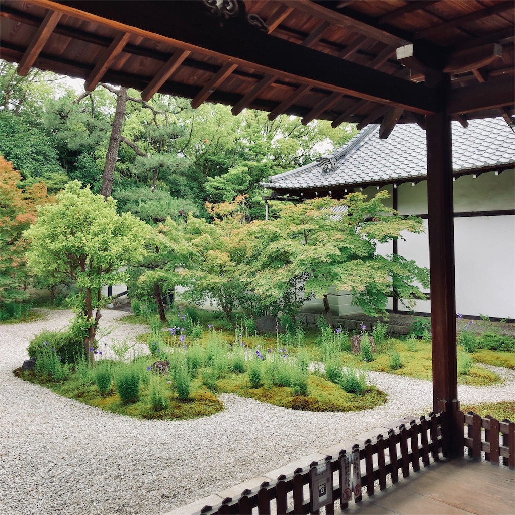 f:id:koshikakeol:20230625191700j:image