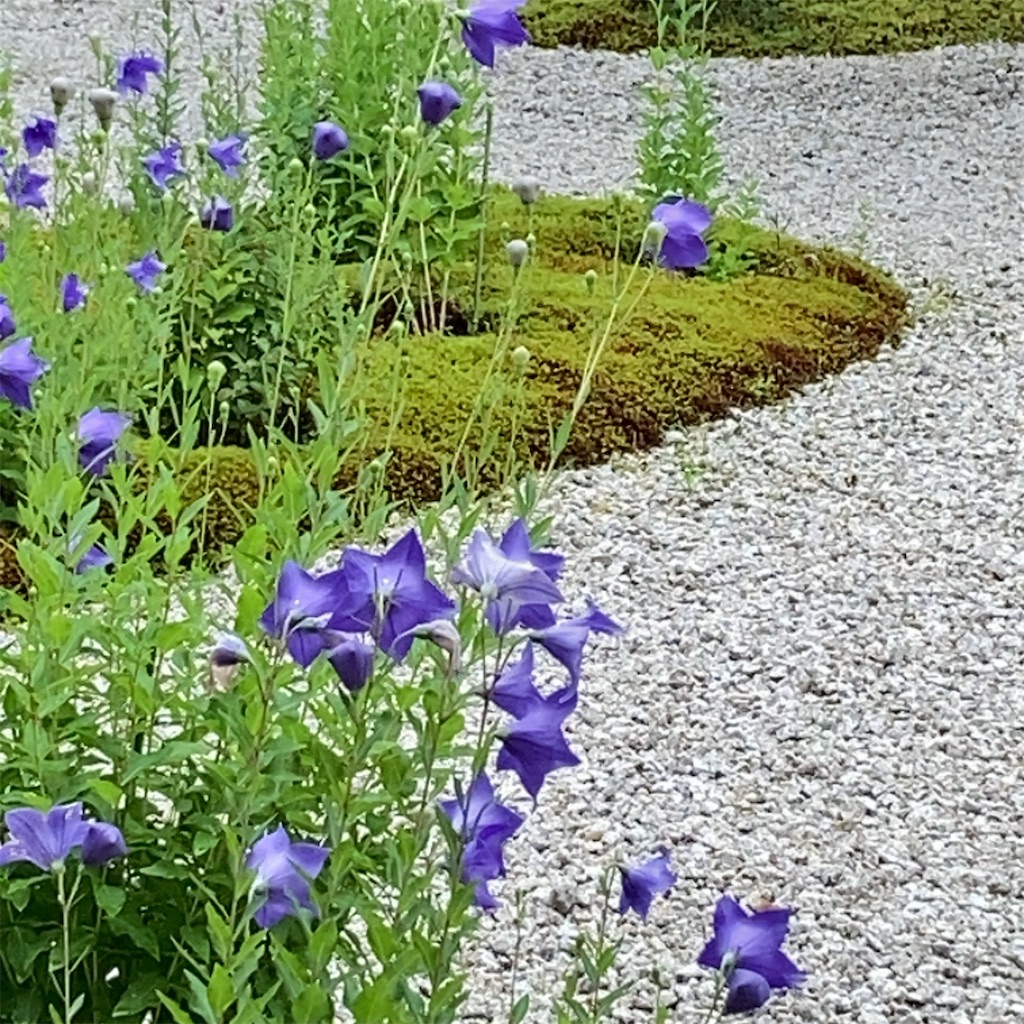 f:id:koshikakeol:20230625191708j:image