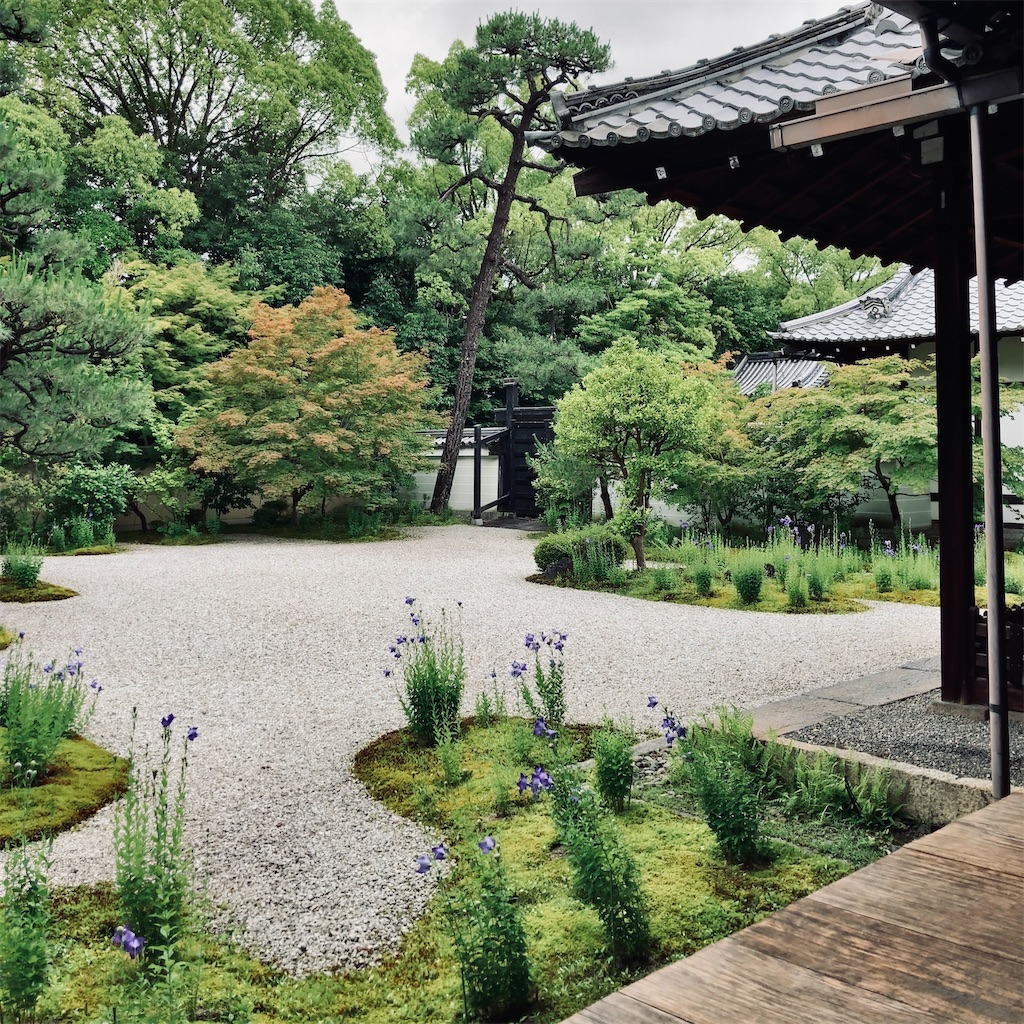 f:id:koshikakeol:20230625191711j:image