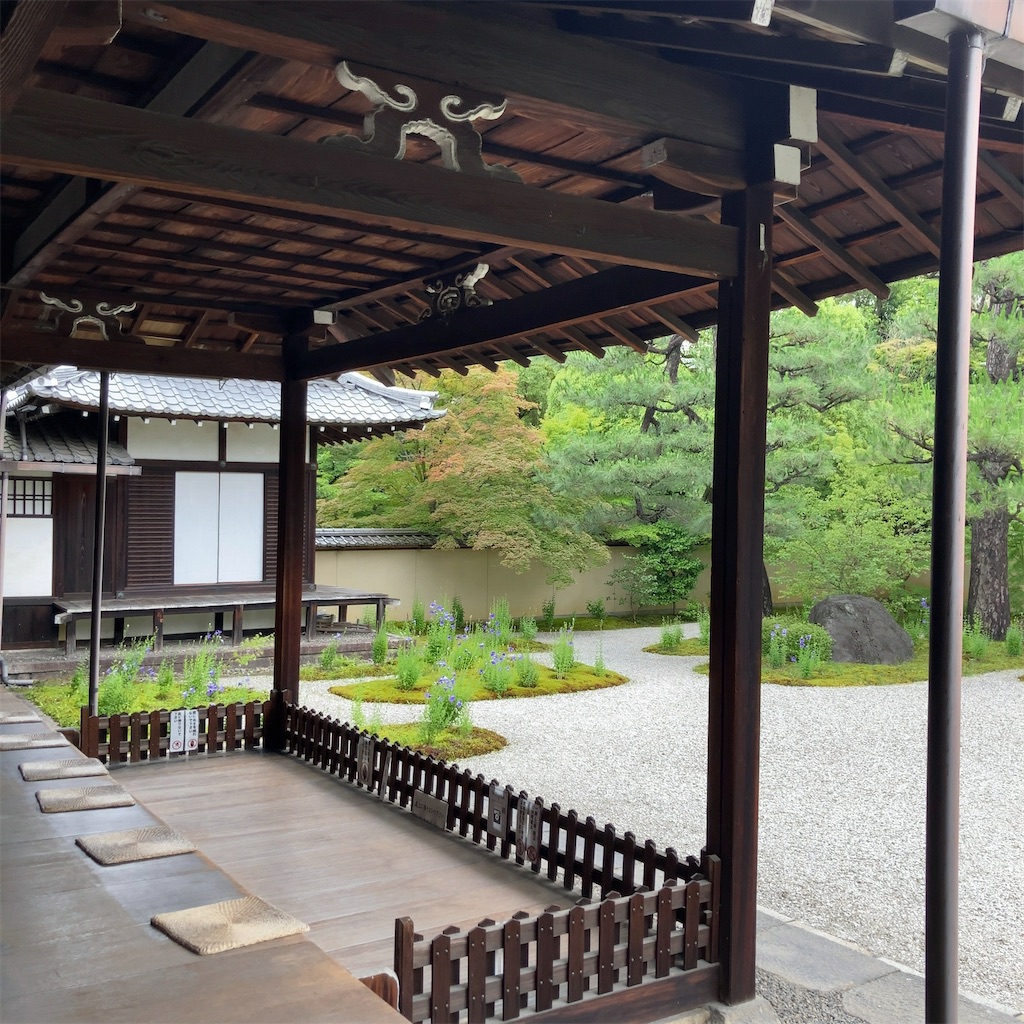 f:id:koshikakeol:20230625191719j:image