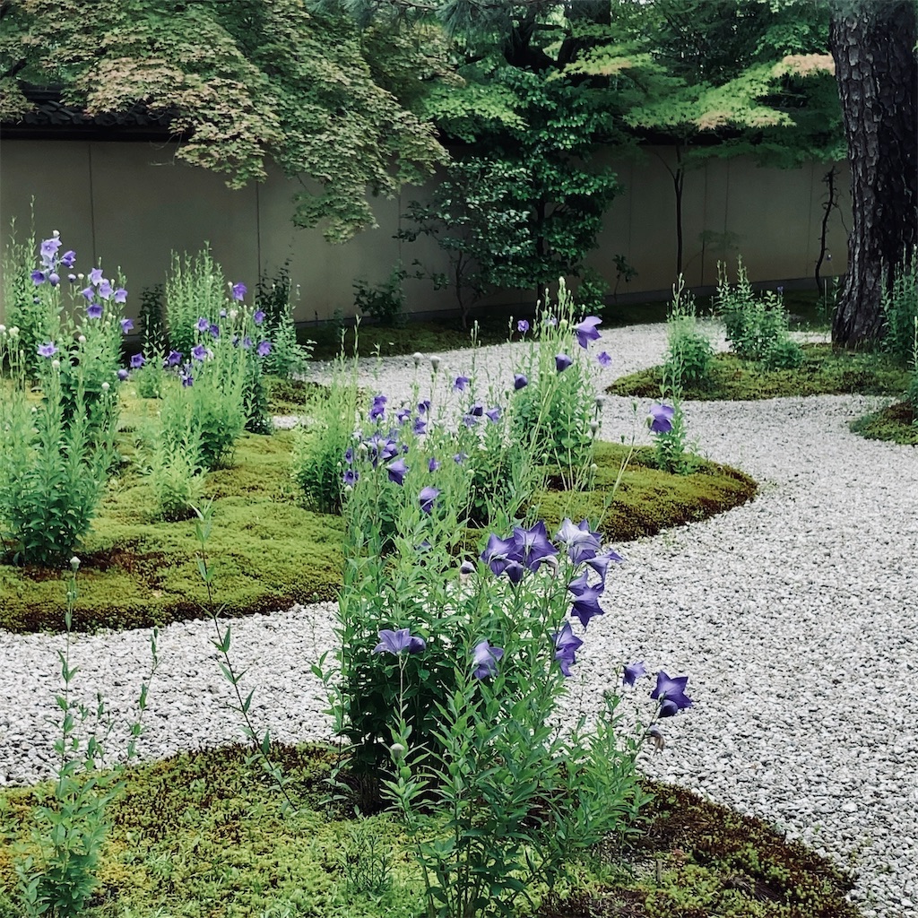 f:id:koshikakeol:20230625191723j:image