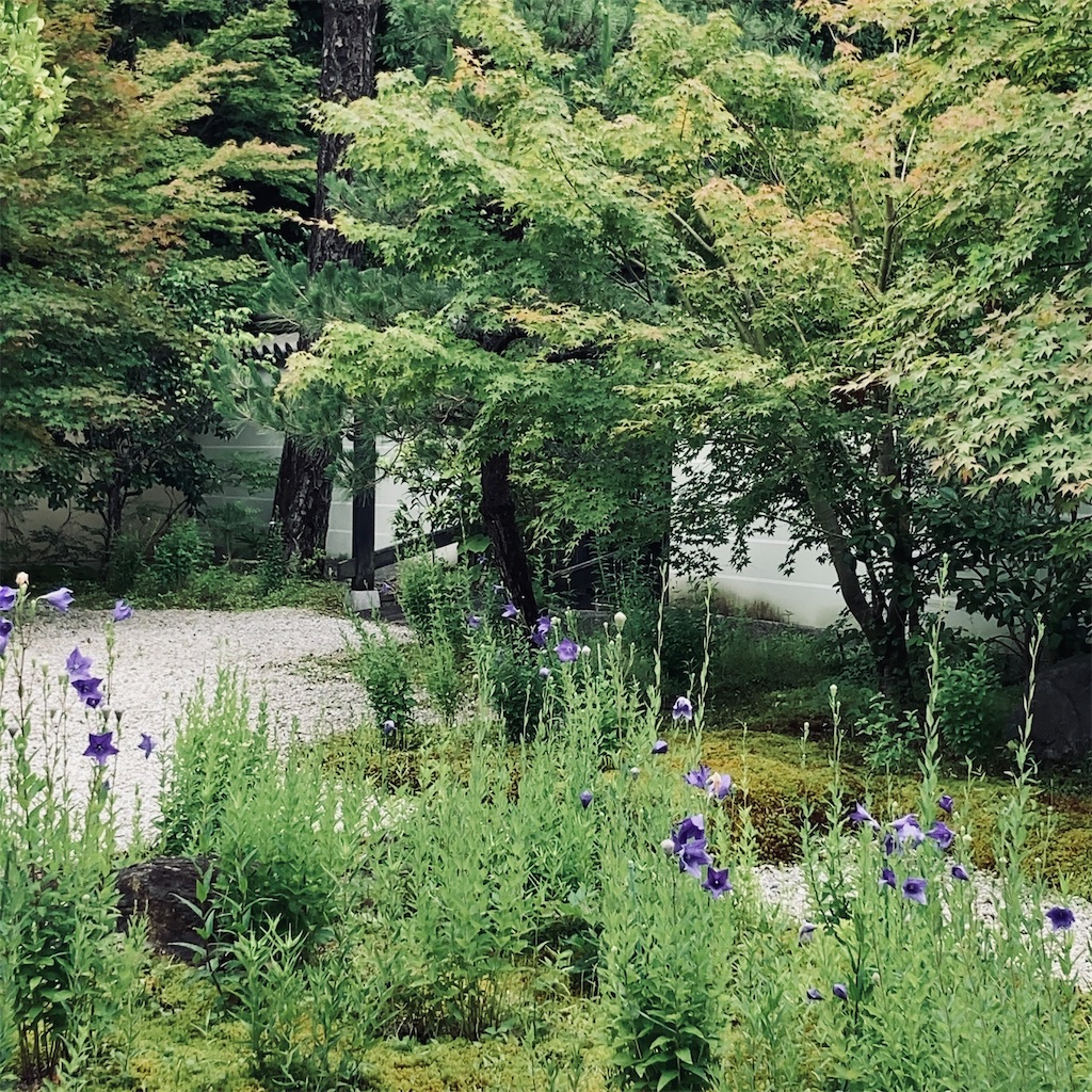 f:id:koshikakeol:20230625191734j:image