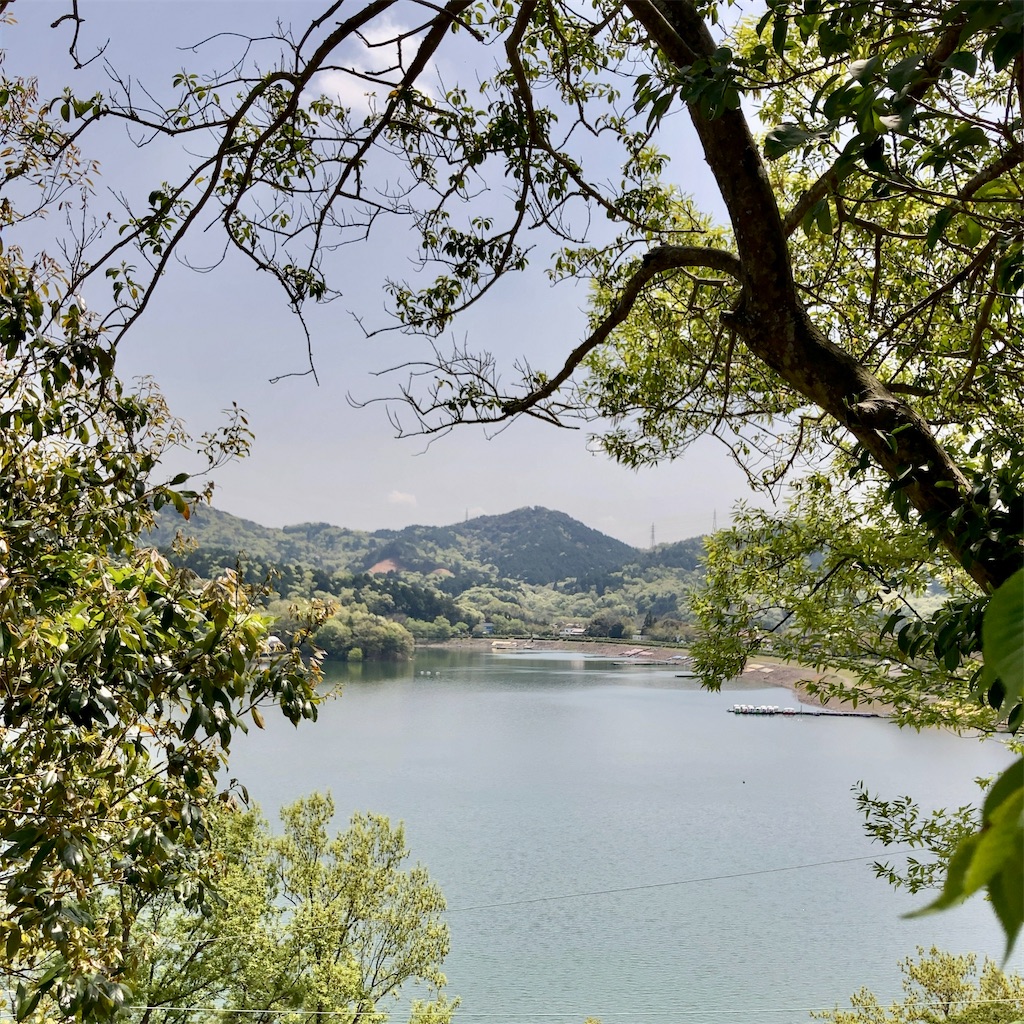 f:id:koshikakeol:20230804131454j:image