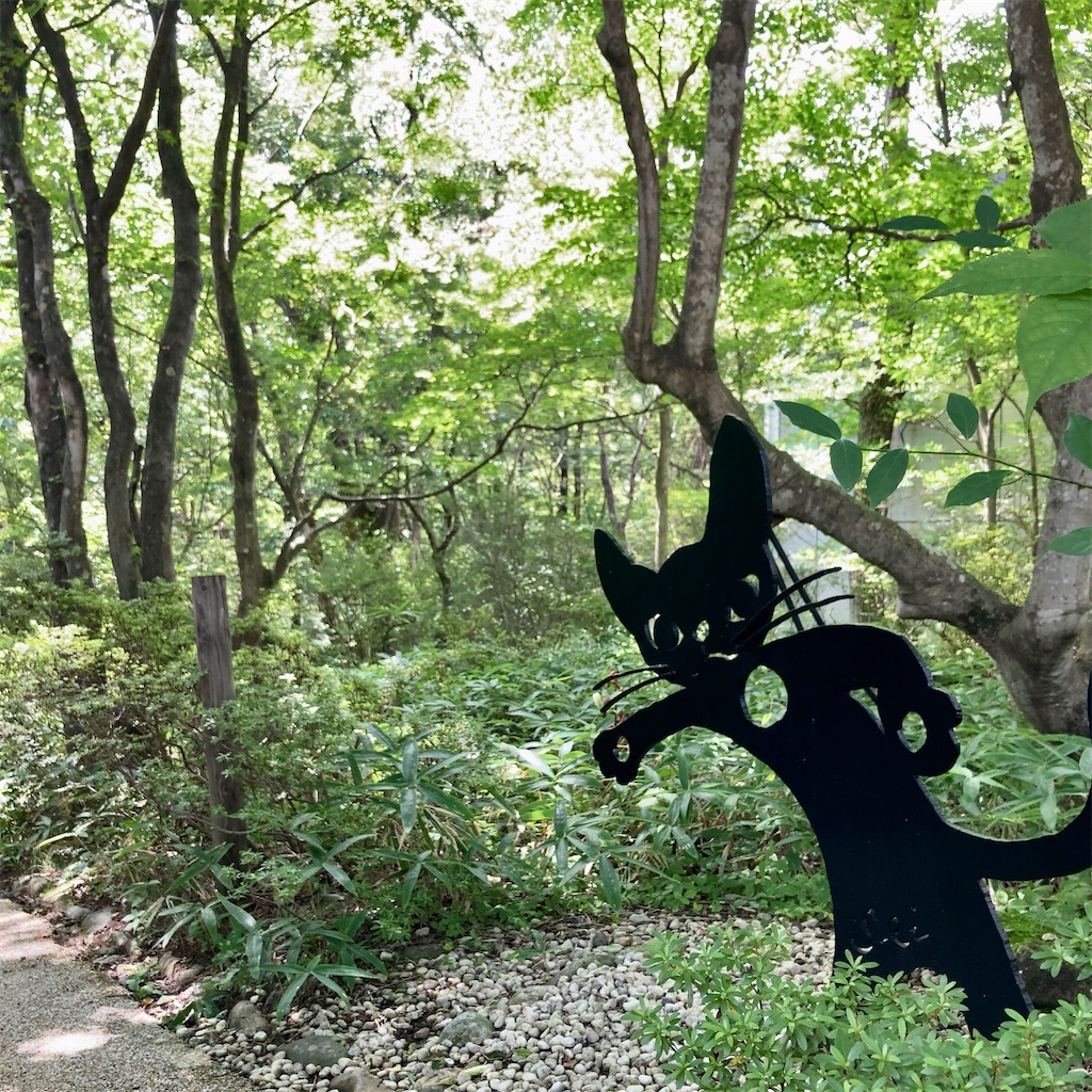 f:id:koshikakeol:20230901215844j:image