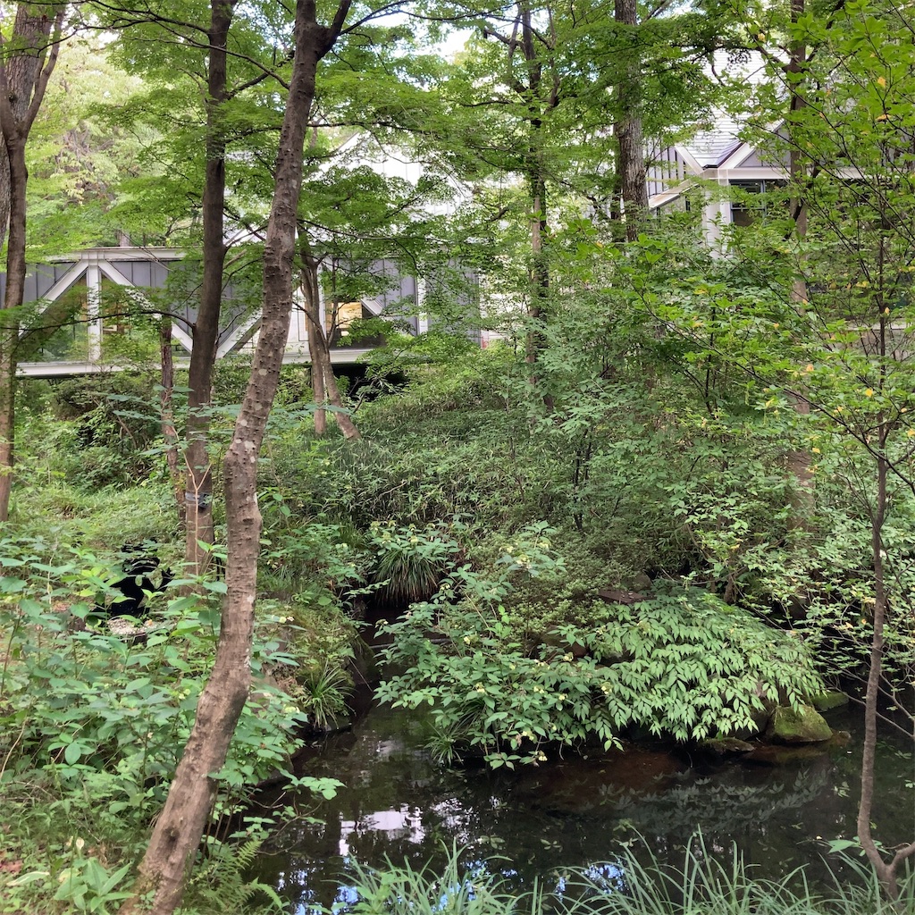 f:id:koshikakeol:20230901220031j:image