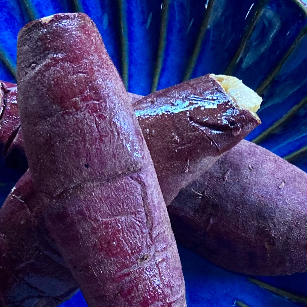 f:id:koshikakeol:20230917073449j:image