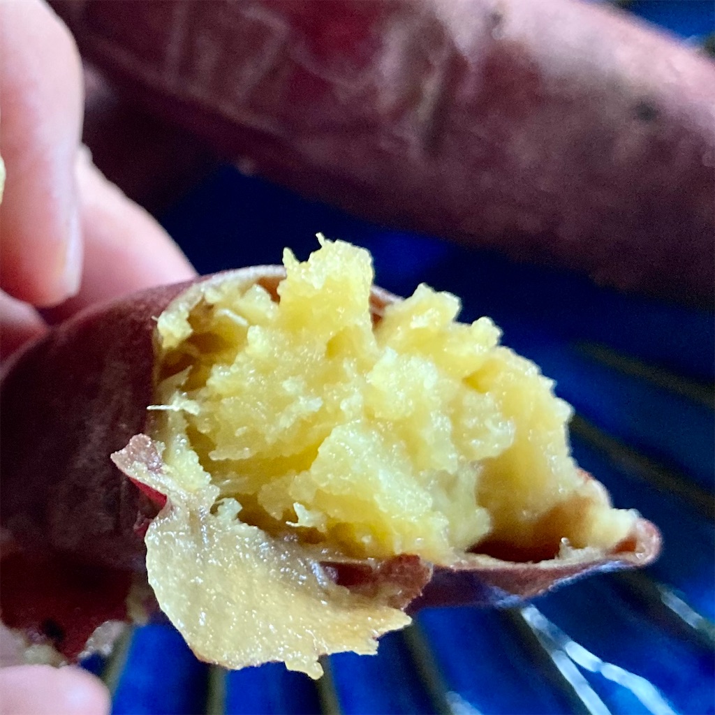 f:id:koshikakeol:20230917073607j:image