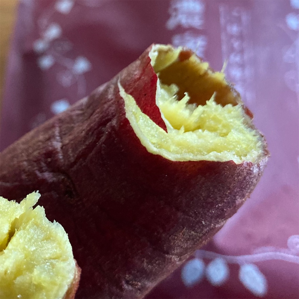 f:id:koshikakeol:20230918073441j:image