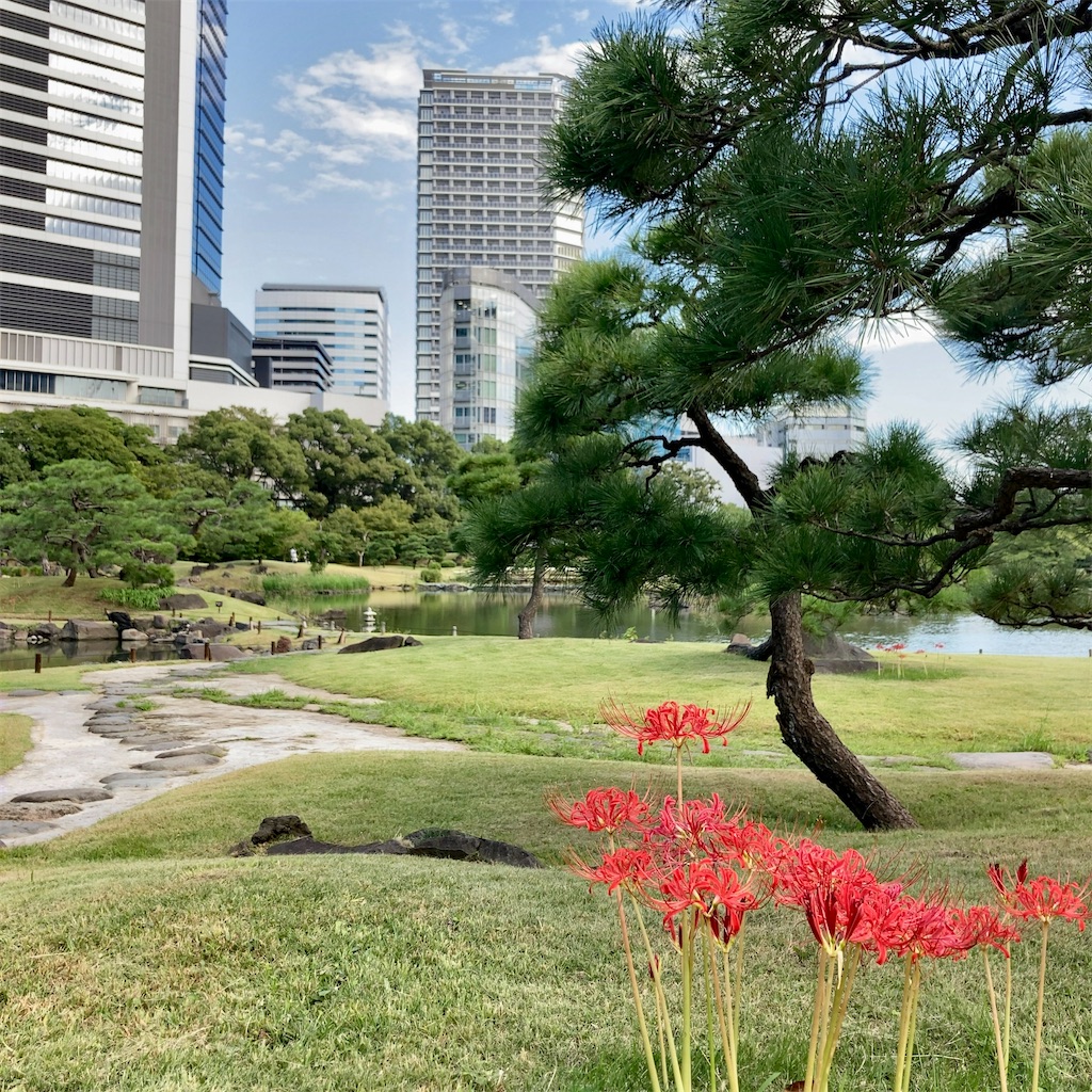 f:id:koshikakeol:20230927181157j:image