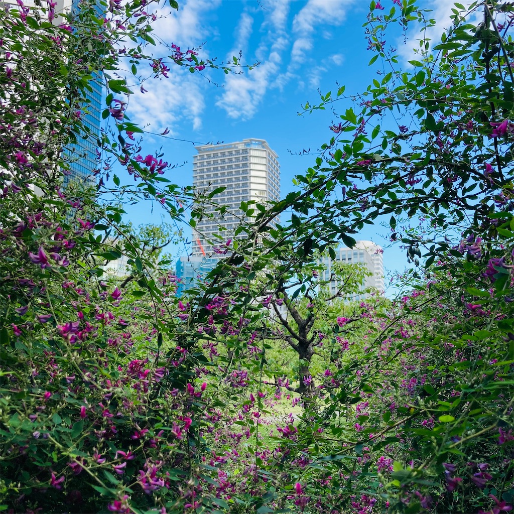 f:id:koshikakeol:20230927181204j:image