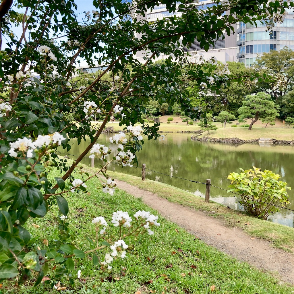 f:id:koshikakeol:20230927181207j:image