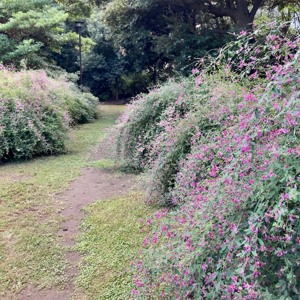 f:id:koshikakeol:20230927181211j:image