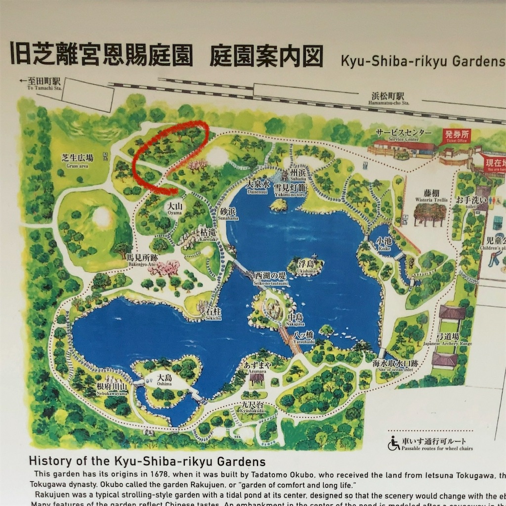 f:id:koshikakeol:20230927182543j:image