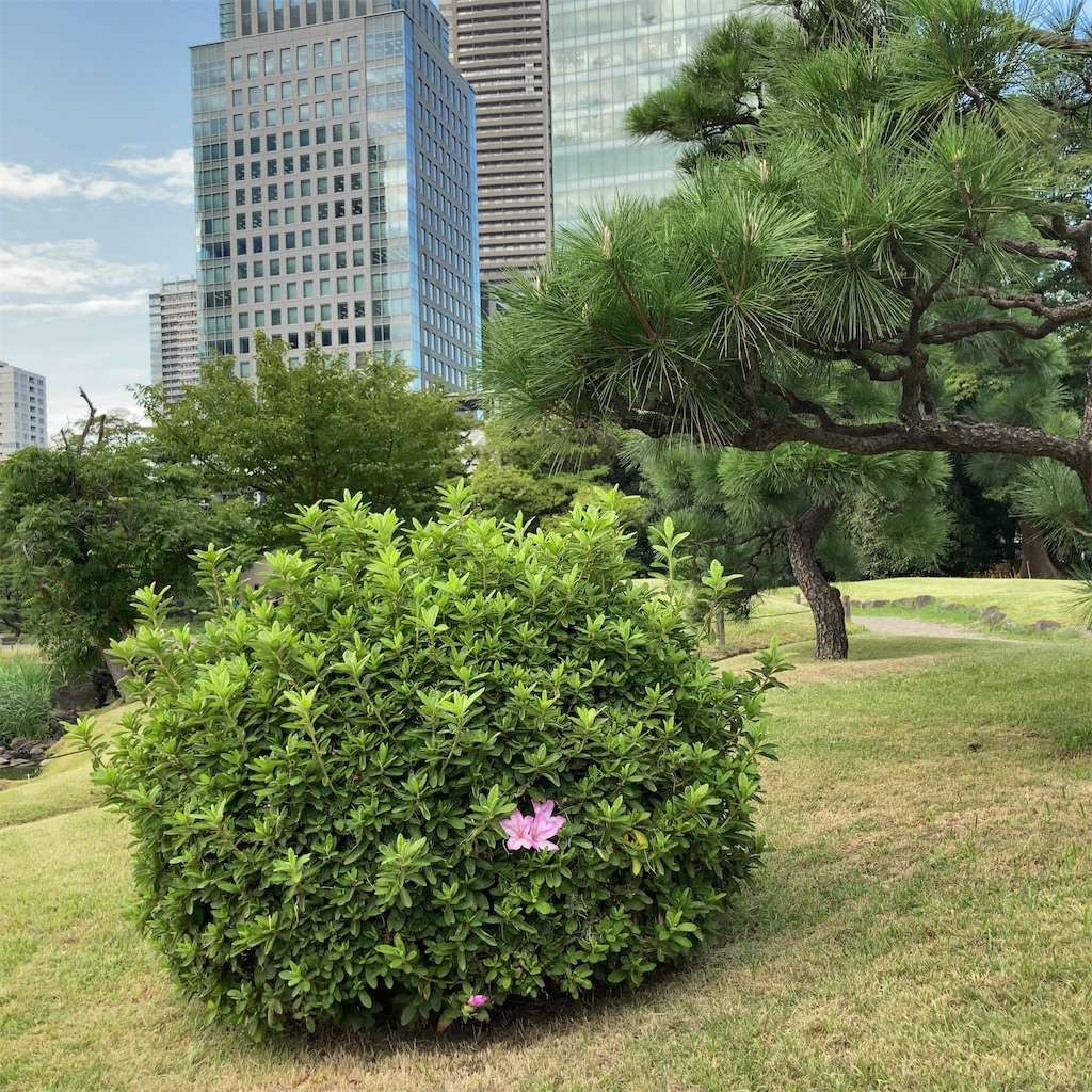 f:id:koshikakeol:20230927182757j:image