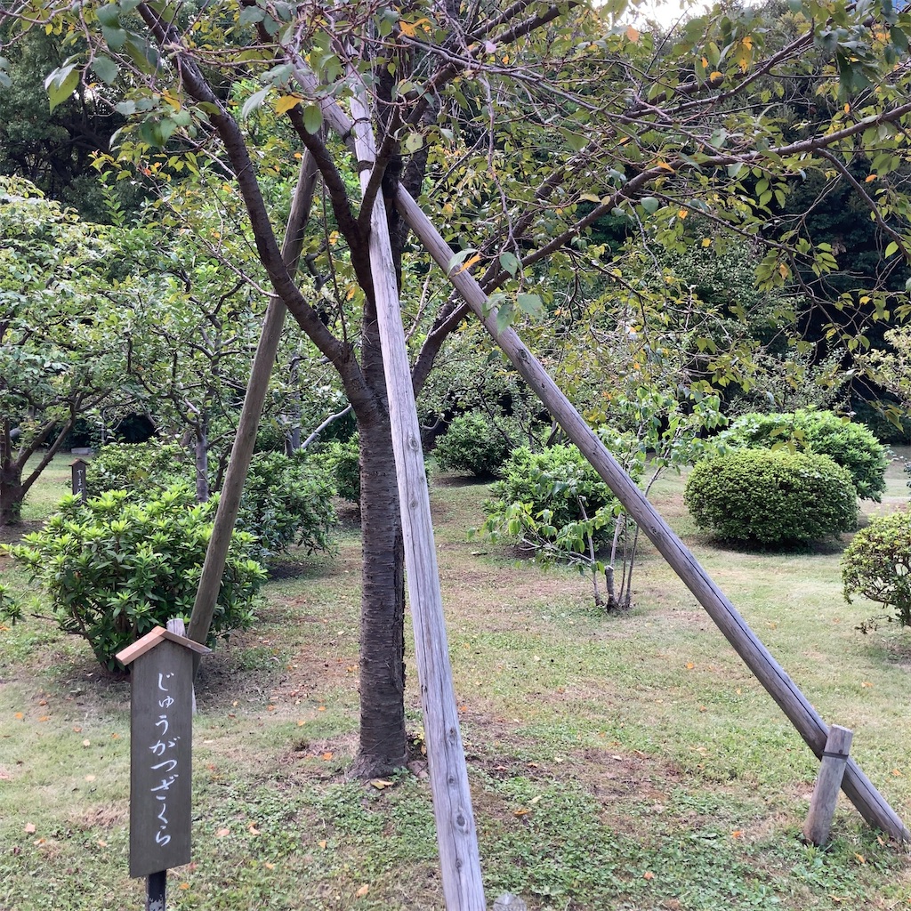 f:id:koshikakeol:20230928104131j:image