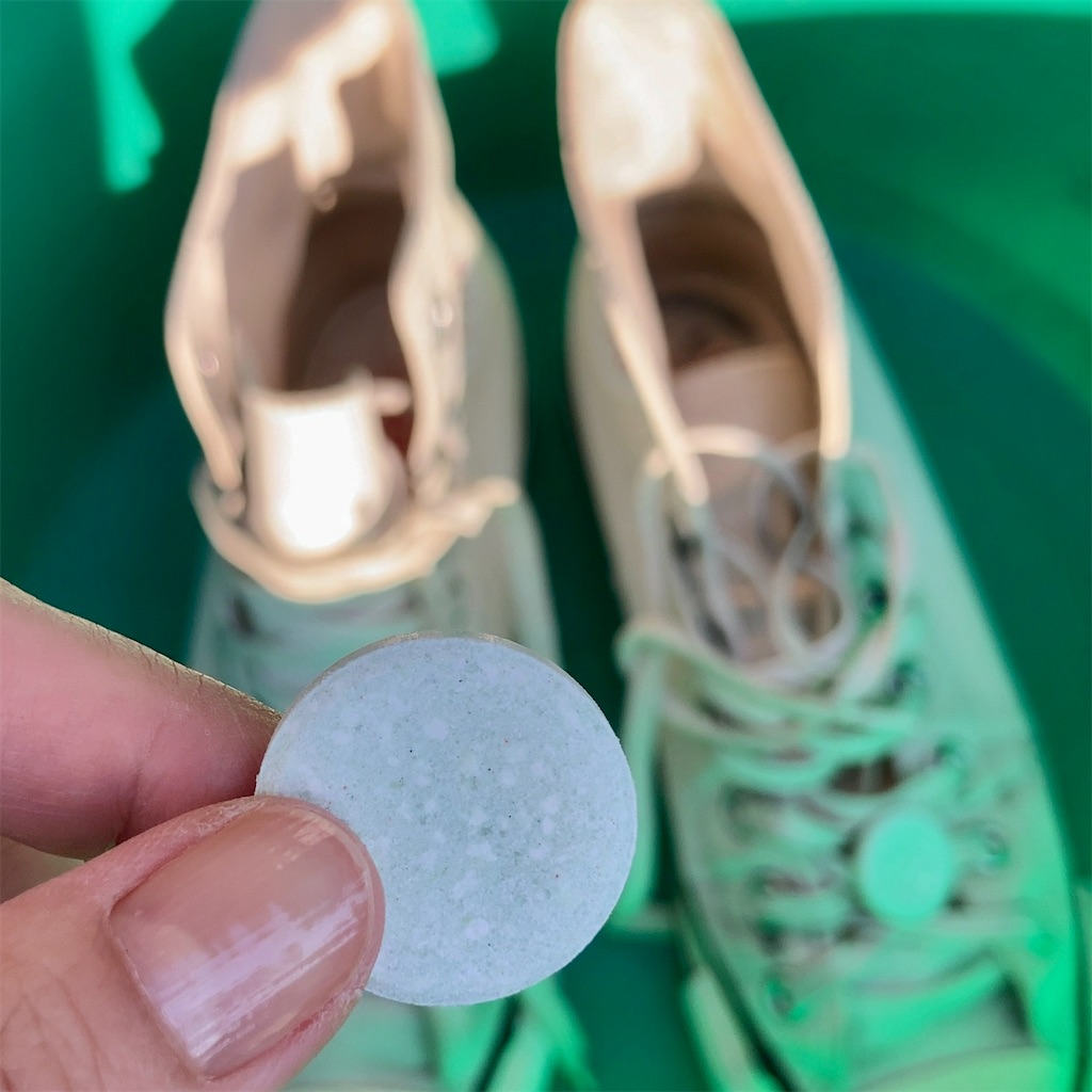 f:id:koshikakeol:20231103084605j:image f:id:koshikakeol:20231103084605j:image