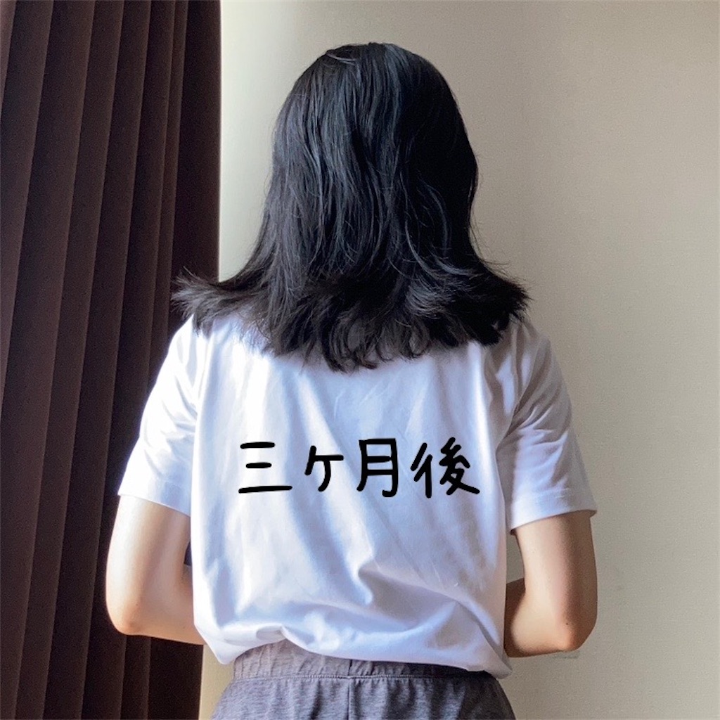 f:id:koshikakeol:20231104081410j:image