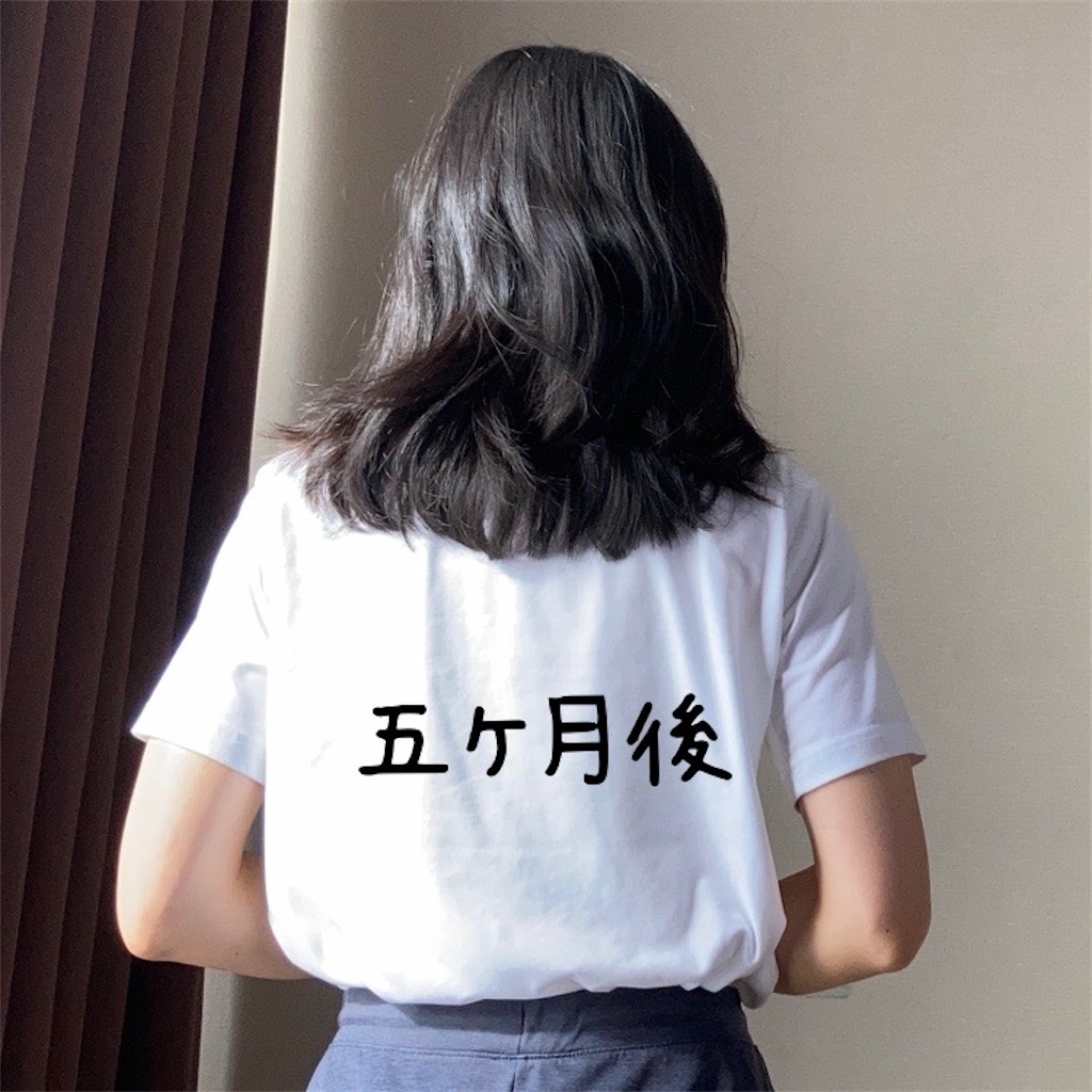 f:id:koshikakeol:20231104081417j:image