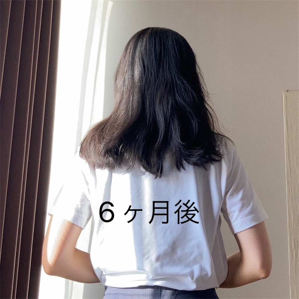 f:id:koshikakeol:20231104081924j:image f:id:koshikakeol:20231104081924j:image