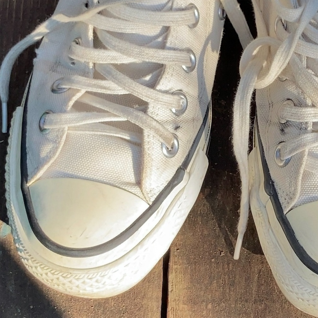 f:id:koshikakeol:20231105093838j:image f:id:koshikakeol:20231105093838j:image