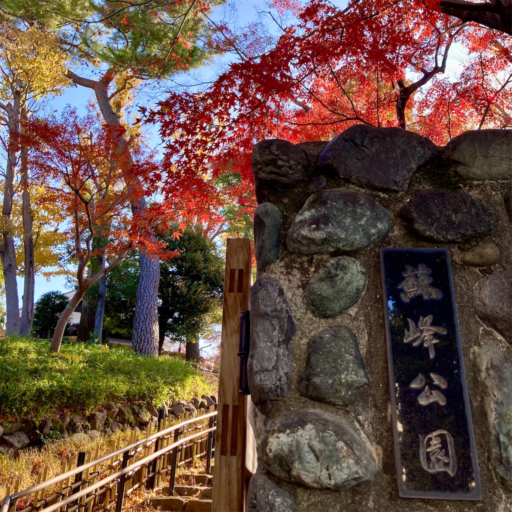 f:id:koshikakeol:20231210132424j:image