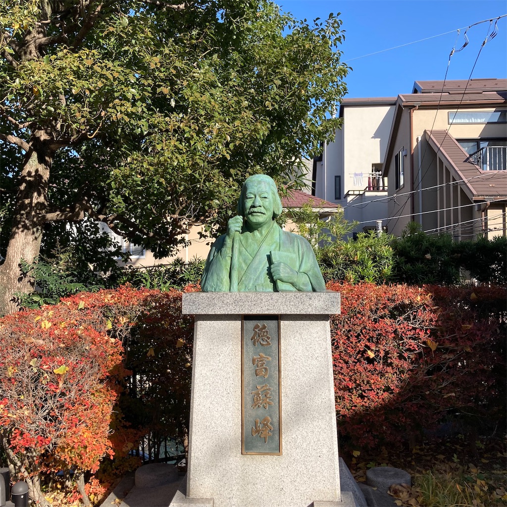 f:id:koshikakeol:20231210132446j:image